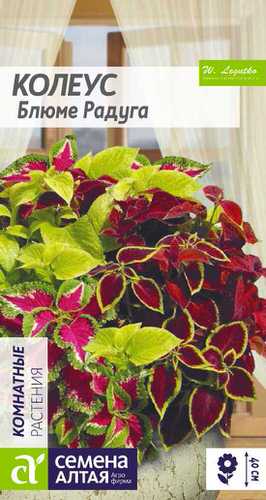 Колеус Блюме Радуга, смесь 