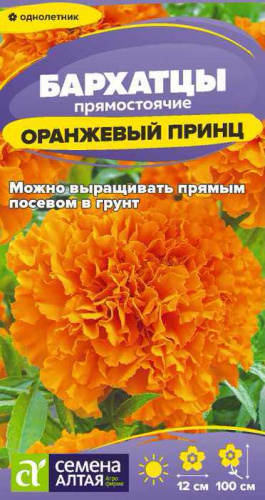 Бархатцы Оранжевый Принц