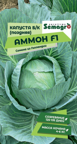Капуста Аммон F1