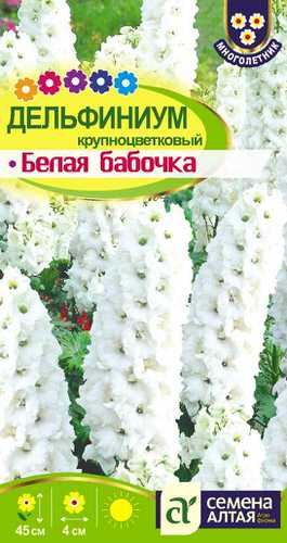 Дельфиниум Белая бабочка 