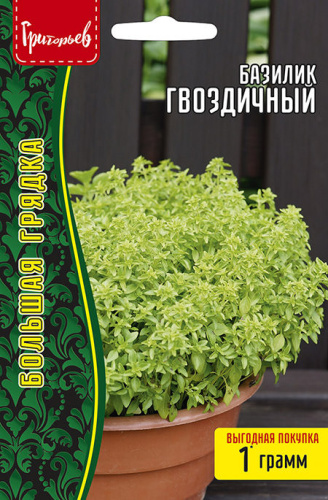 Базилик Гвоздичный