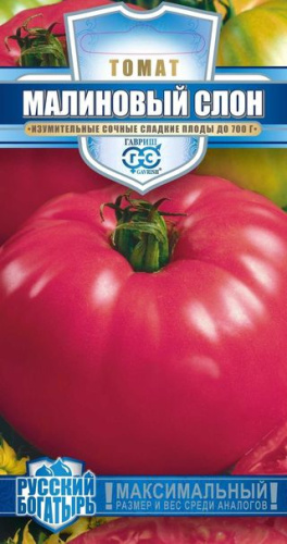 Томат Слон Малиновый серия Русский богатырь 