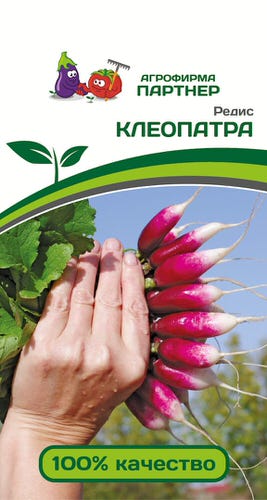 Редис Клеопатра 