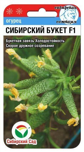 Огурец Сибирский букет F1