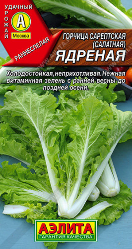 Горчица Ядреная салатная