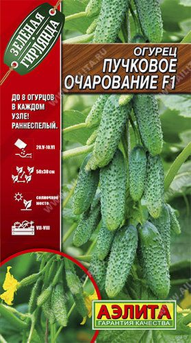 Огурец Пучковое очарование F1®
