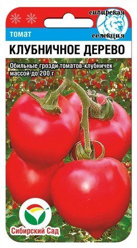 Томат Клубничное дерево 