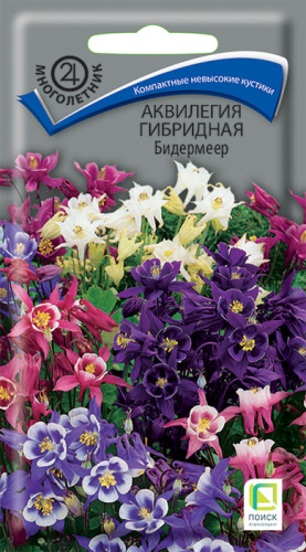 Аквилегия Бидермеер гибридная