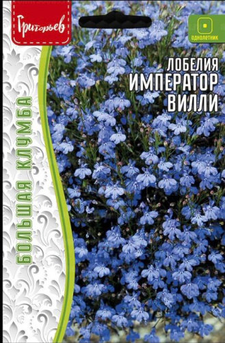 Лобелия Император Вилли