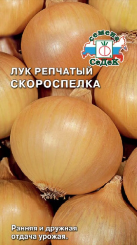 Лук (репчатый) Скороспелка 