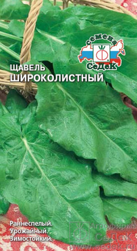 Щавель Широколистный 