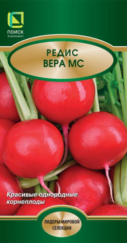 Редис Вера МС