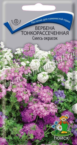 Вербена тонкорассеченная Смесь окрасок