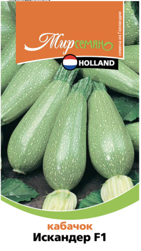 Кабачок Искандер 3шт  F1 ЦПг