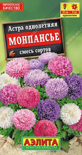 Астра Монпасье. смесь карликовая