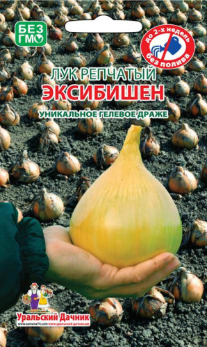Лук (репчатый) Эксибишен драже Уд