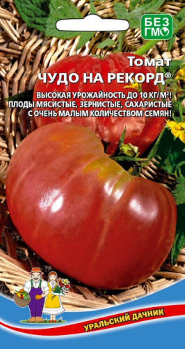 Томат Чудо на рекорд F1 