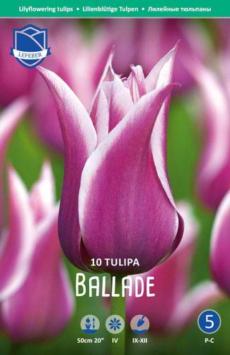 Тюльпан лилейный "Ballade" (1х10шт)