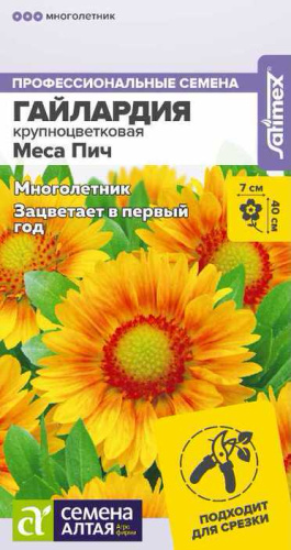 Гайлардия Меса Пич
