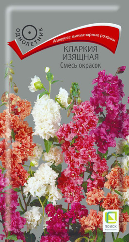 Кларкия Изящная, смесь 