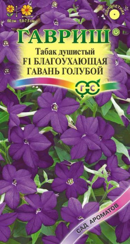 Табак Благоухающая гавань голубая F1 душистый 