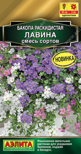 Бакопа раскидистая Лавина, смесь 