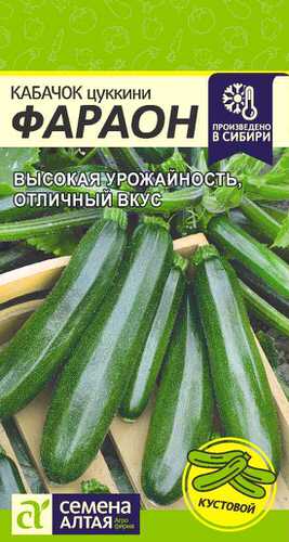 Кабачок Фараон 