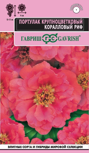 Портулак махровый Коралловый Риф 