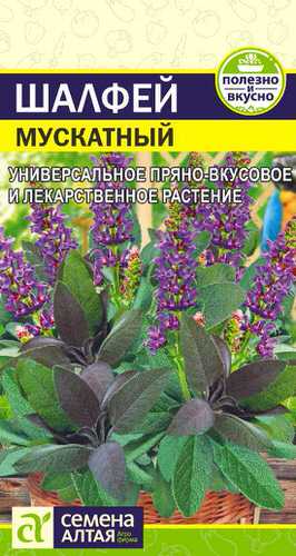 Шалфей Мускатный