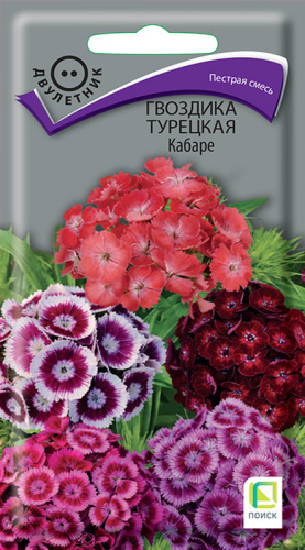 Гвоздика Кабаре турецкая