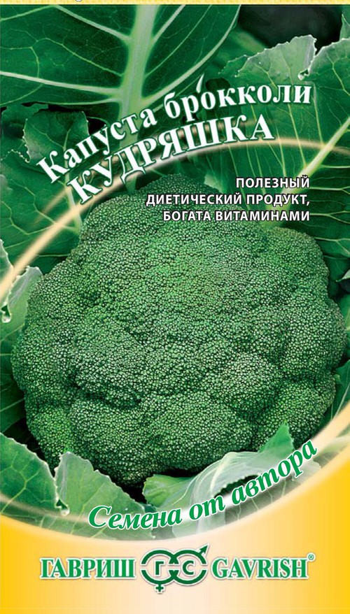 Капуста (брокколи) Кудряшка 0,2г автор. Н16