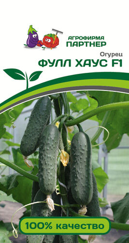 Огурец Фулл Хаус F1 ( 2-ой пак.) 