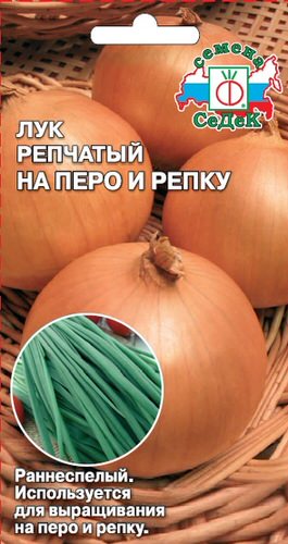 Лук (репчатый) На перо и репку 