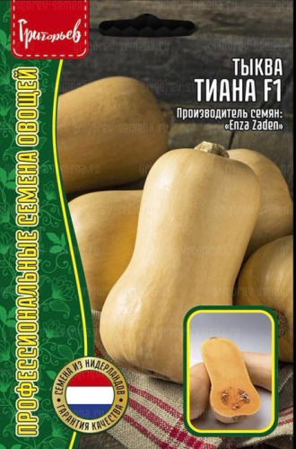 Тыква Тиана F1 мускатная порционная (Tiana) 