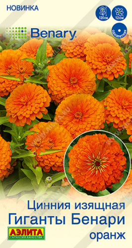 Цинния Гиганты Бенари оранж Benary