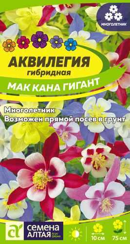 Аквилегия Маккана Гигант 0.1г