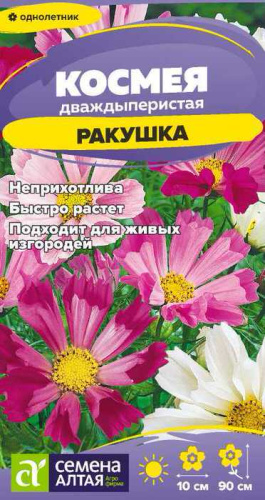 Космея Ракушка