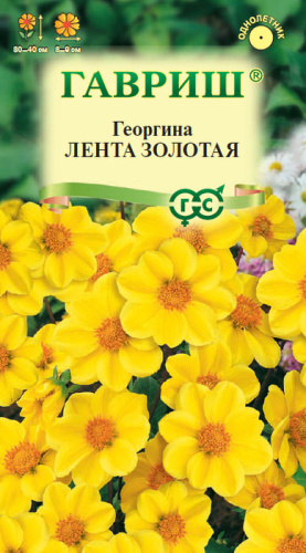 Георгина Лента золотая 