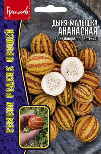 Дыня-малышка Ананасная