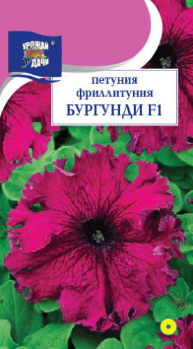Петуния Фрилитуния Бургунди 