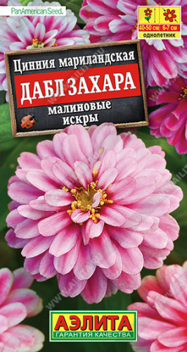 Цинния Дабл Захара малиновые искры 