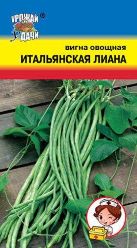 Вигна Итальянская лиана 