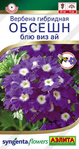 Вербена Обсешн блю виз ай