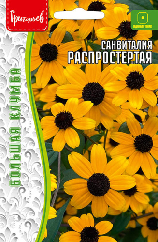 Санвиталия Распростёртая