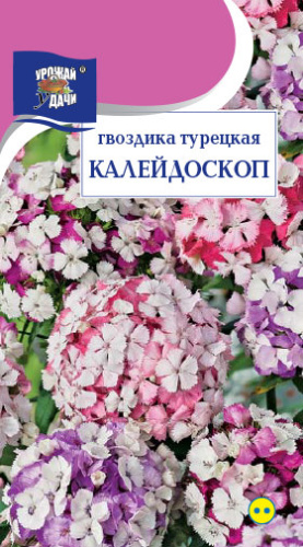 Гвоздика Турецкая Калейдоскоп 