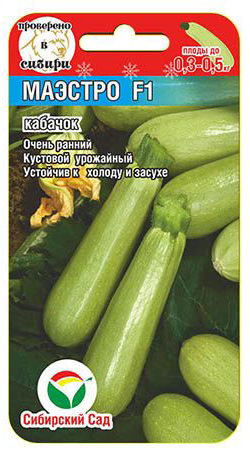 Кабачок Маэстро  