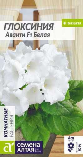 Глоксиния Аванти Белая F1