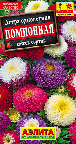 Астра Помпонная, смесь