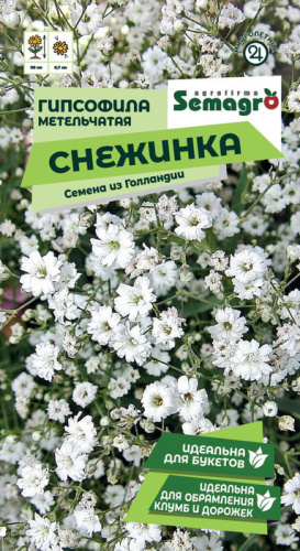 Гипсофила метельчатая Снежинка 