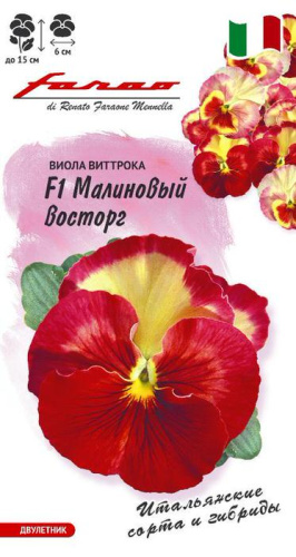 Виола Виттрока Малиновый восторг F1 